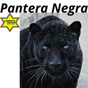 Pantera Negra