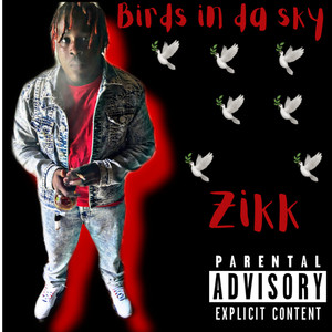 Birds In Da Sky (Explicit)