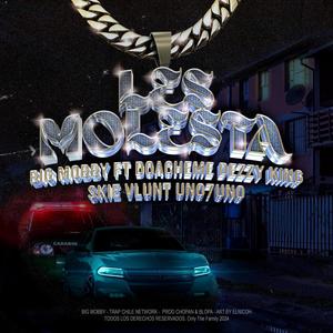 LES MOLESTA (feat. Doacheme, Skie.Vlunt, Uno7uno & Dezzy King) (Explicit)