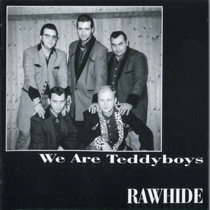 We Are Teddyboys