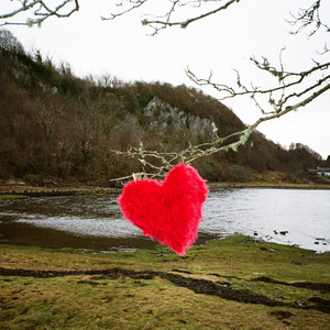 In the Sadness We Arrive