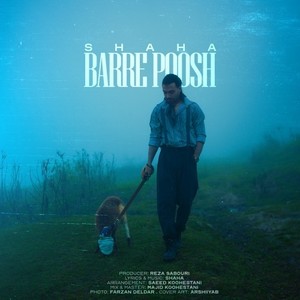 Barre Poosh