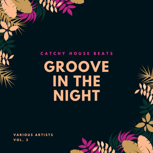 Groove In The Night (Catchy House Beats) , Vol. 3