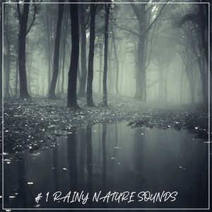 Constant Soothing Rain