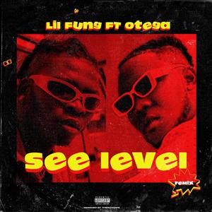 See Level (feat. Otega) (Remix)