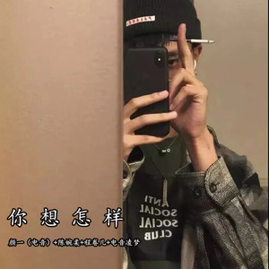 闲鸡那能配凤凰 (Remix)