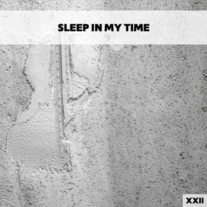 Sleep In My Time XXII