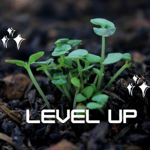 Level Up