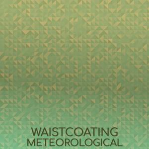 Waistcoating Meteorological