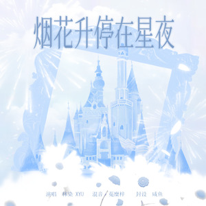烟花升停在星夜