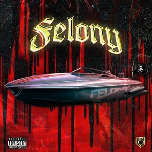 FELONY ALBUM (Explicit)