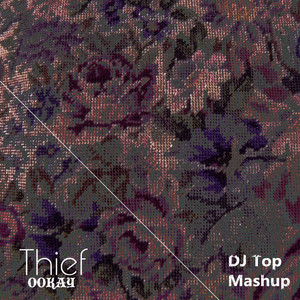 Thief (混音|DJ Top Mashup)