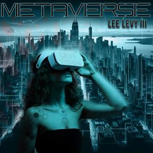 Metaverse (feat. Rollin Picasso) [Explicit]