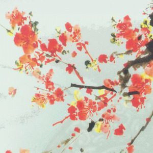 蝶—记千缘渡·夜惜辰