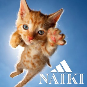 NAIKI