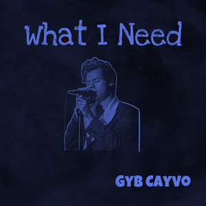 What I Need (Explicit)