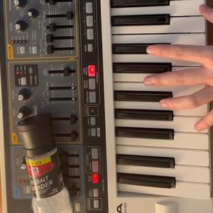 salt (scro synth tiktok)