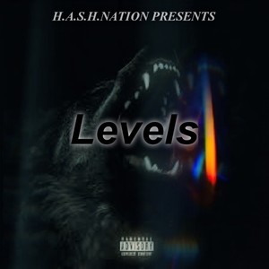 Levels (feat. CrashMasta) [Explicit]