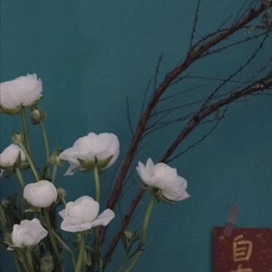 红色高跟鞋 (温柔版)