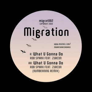 What U Gonna Do (NumberNin6 Remix)