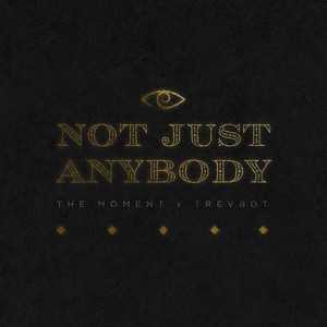 Not Just Anybody (Explicit)