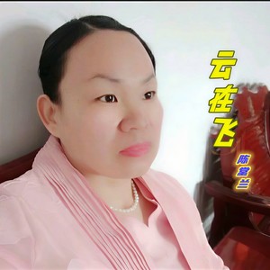 云在飞