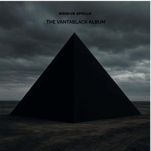 THE VANTABLACK ALBUM (Explicit)