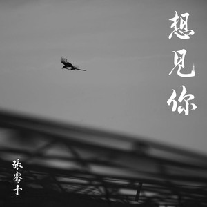想见你想见你想见你