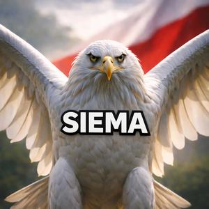 Siema