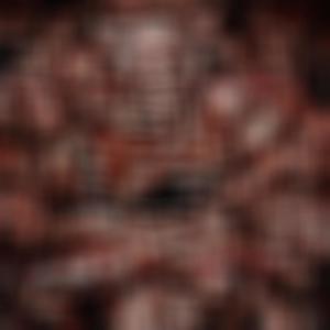 HYBRISTOPHILIA (Explicit)