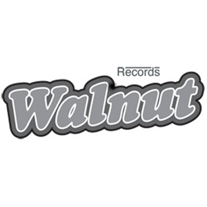 House Musix (Dutch Electro Mix)