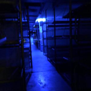 Dont Trust Me (Explicit)