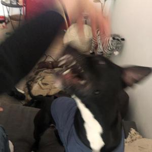 Milk (feat. Creetah) (Explicit)