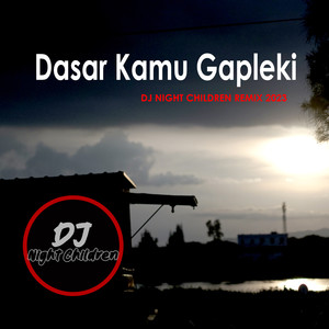 Dasar Kamu Gapleki
