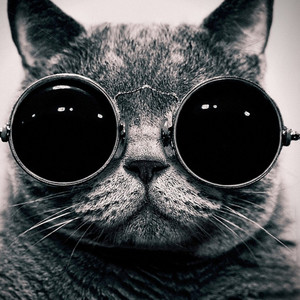 Set The Place On Fire (Remix)