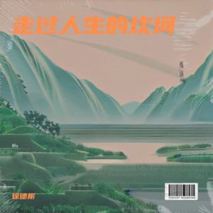 故乡的风来了又走DJ