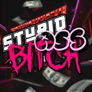 Stupid Ass ***** (Explicit)