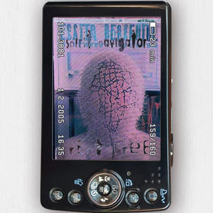 Give Flowers To Jaden