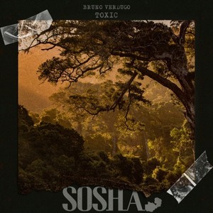 Toxic (Extended Mix)