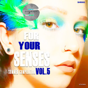 Ripchord (Original Mix)