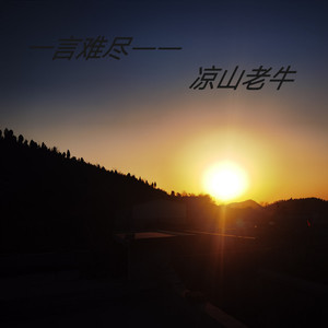 一言难尽