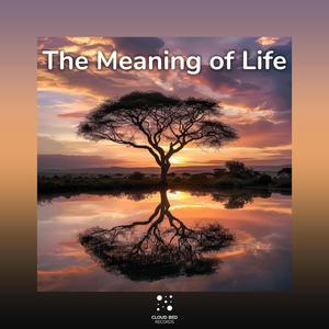 The Meaning of Life