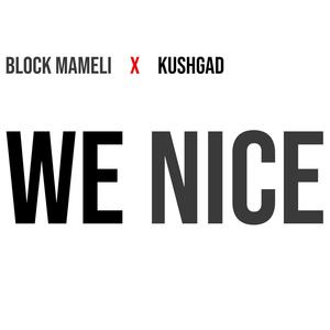 We Nice (feat. Kushgad) [Explicit]