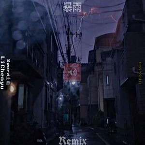 暴雨Remix Pt.II (Remix)