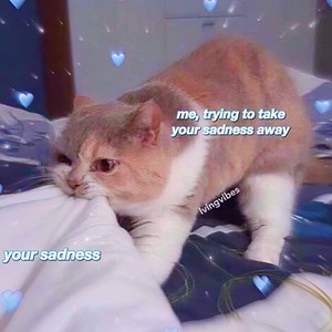 蠢货 (翻自 喻言)