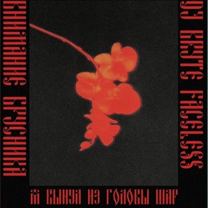 я вынул из головы шар(feat. внимание брусника & $NTNOWER)