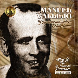 Manuel Vallejo - Porque si yo Estuviera (Fiesta flamenca)