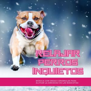 Se Libre