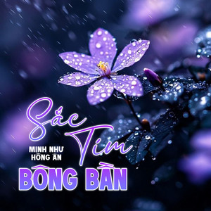 Sắc Tím Bông Bần