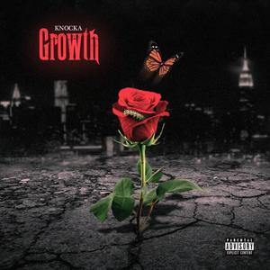 Growth (Explicit)